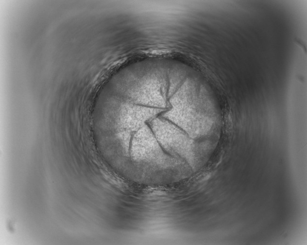 X0000103480913200810100955