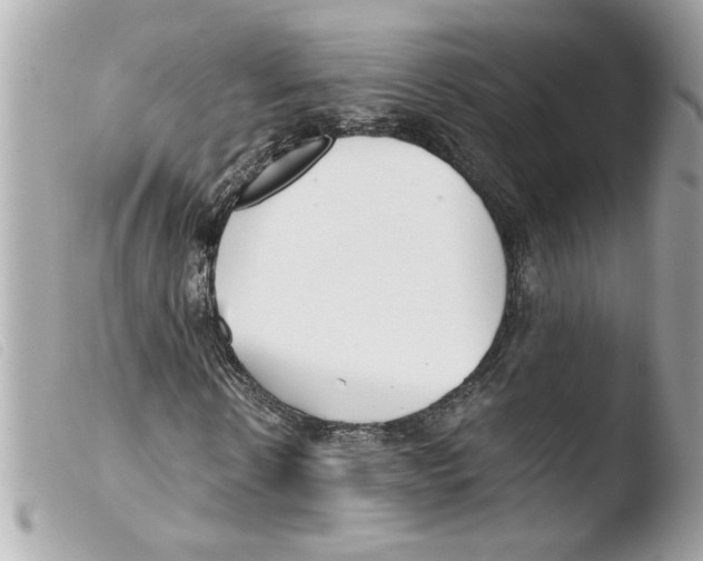 X0000103480914200810100955