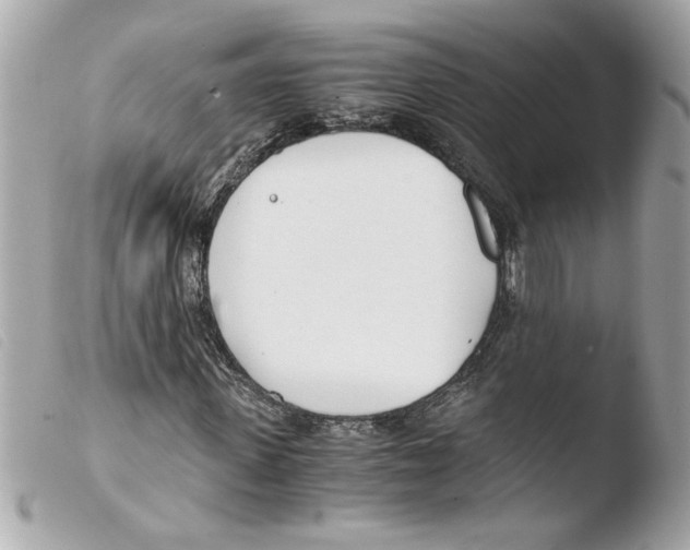 X0000103480915200810100955