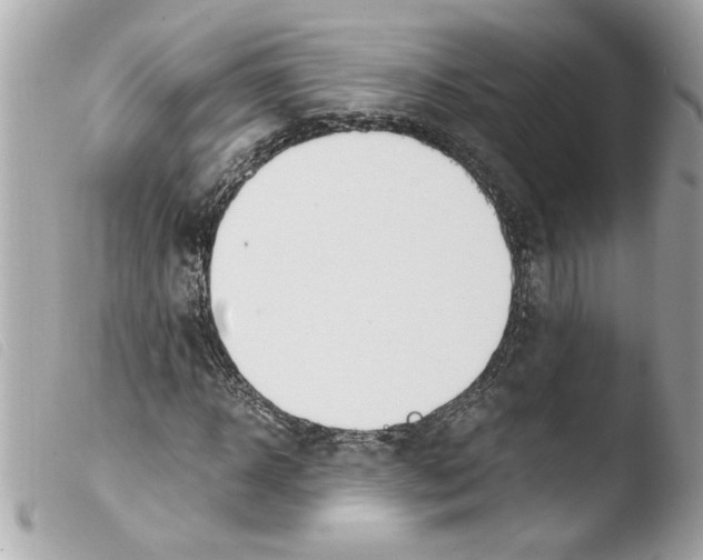 X0000103480918200810100956