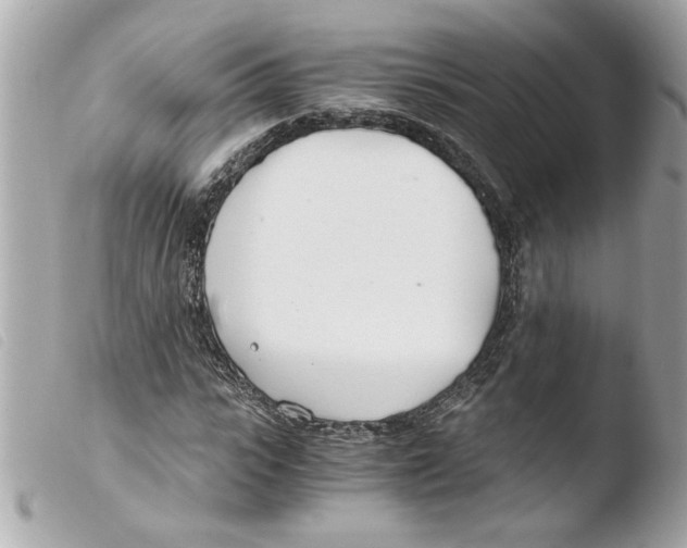 X0000103480919200810100956
