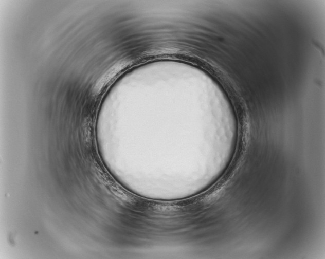 X0000103480921200810100956