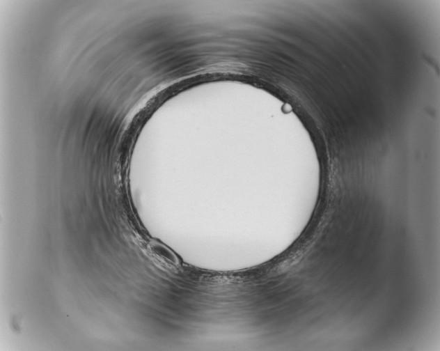 X0000103480923200810100956