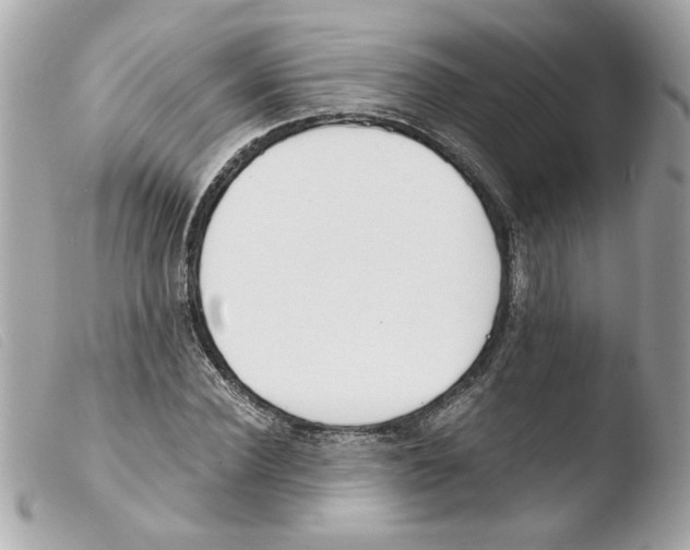X0000103480924200810100956