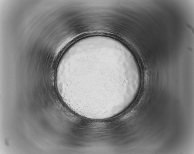 X0000103480925200810100956