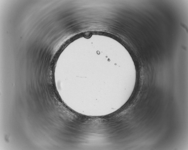 X0000103480926200810100956