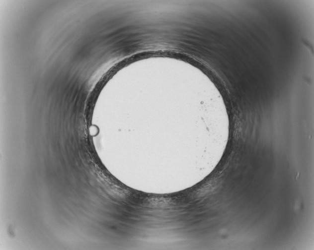 X0000103480927200810100956
