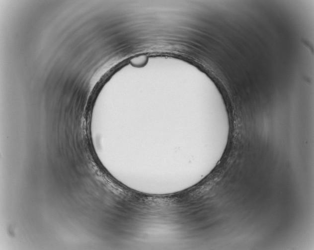 X0000103480928200810100956