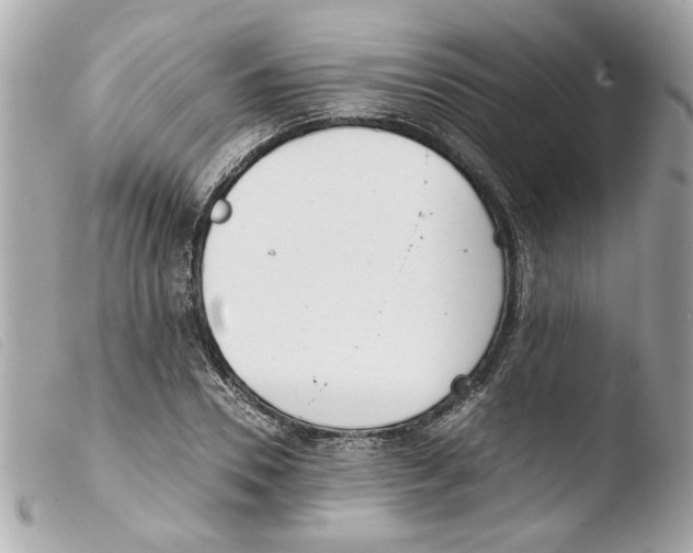 X0000103480930200810100956