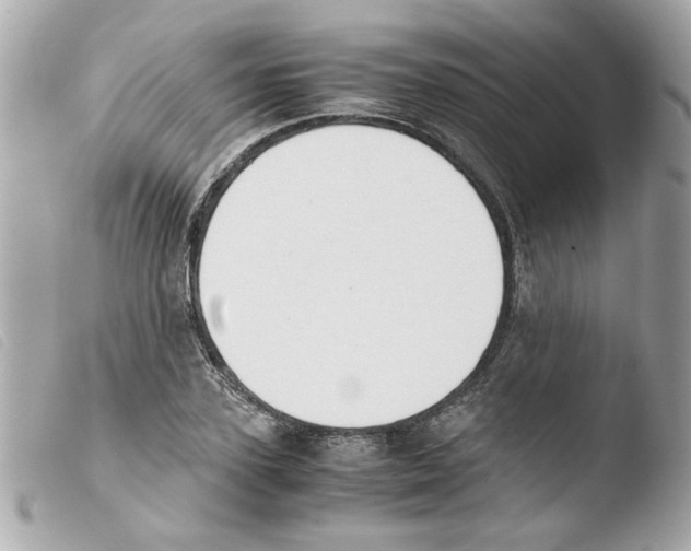 X0000103480931200810100956