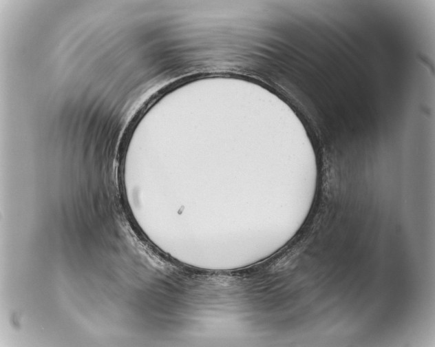 X0000103480932200810100956