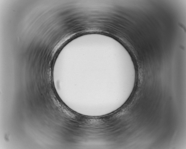 X0000103480933200810100956