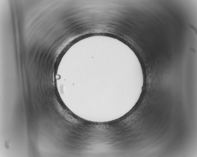 X0000103480934200810100956