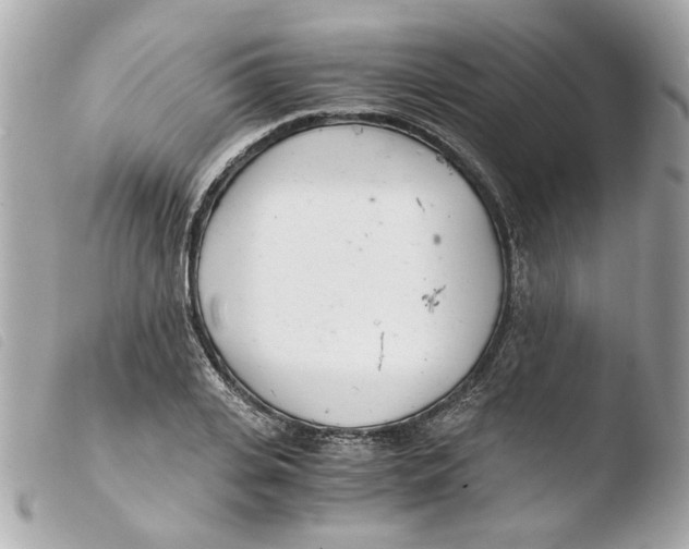 X0000103480935200810100956