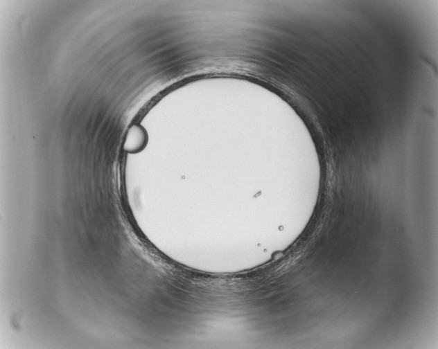 X0000103480936200810100956
