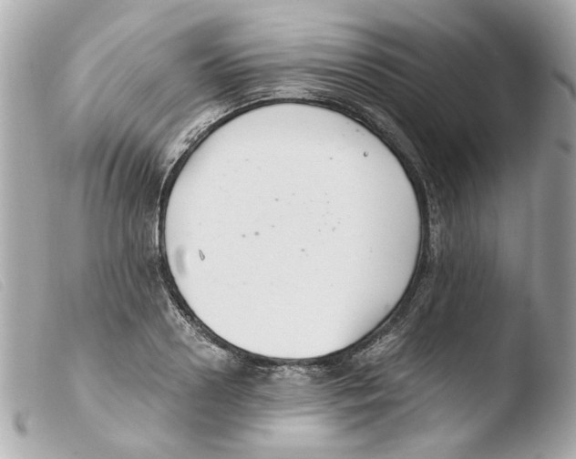 X0000103480938200810100956