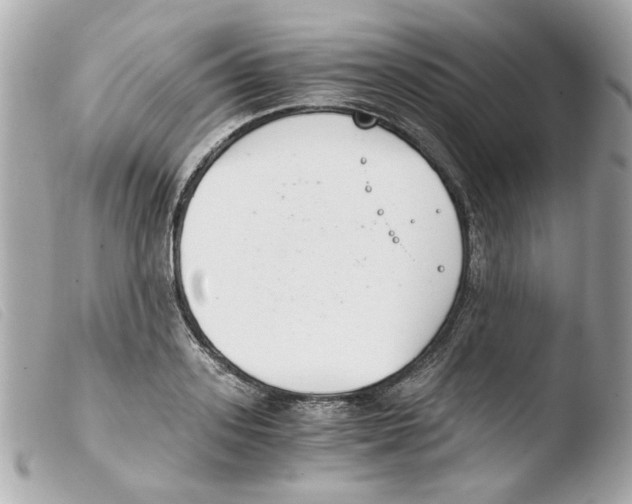 X0000103480939200810100956