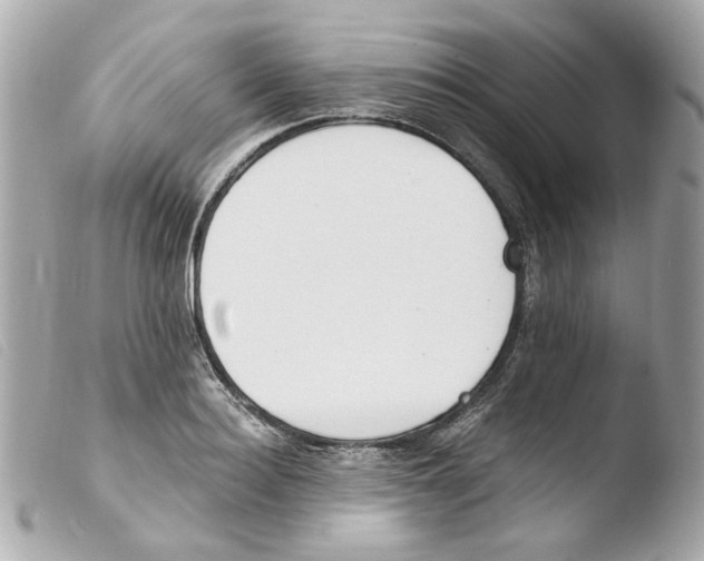 X0000103480940200810100956