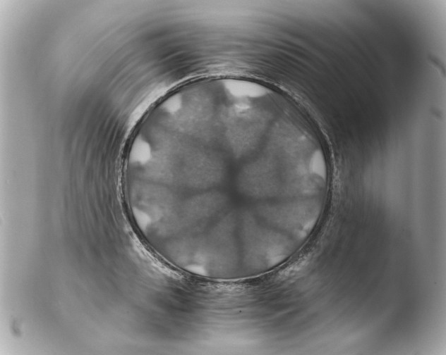 X0000103480941200810100956