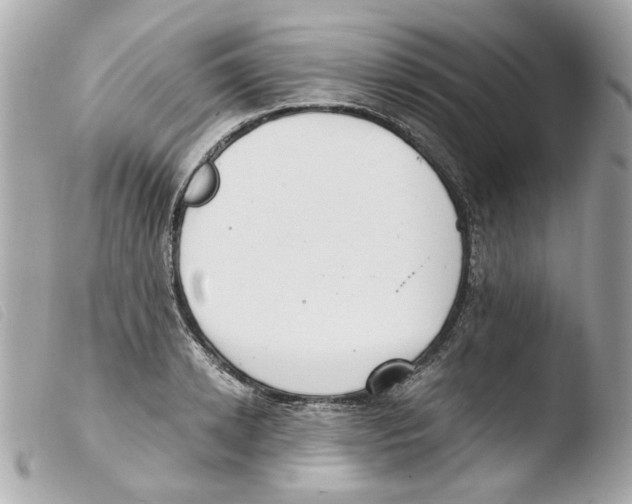 X0000103480942200810100956