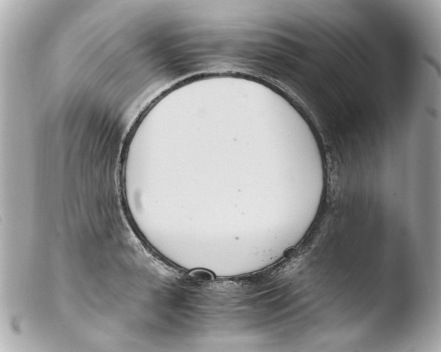X0000103480943200810100956