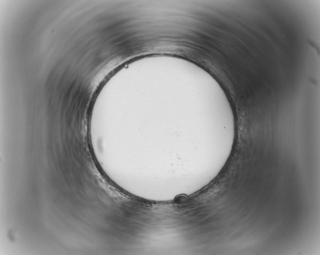 X0000103480944200810100956