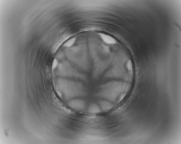 X0000103480945200810100956