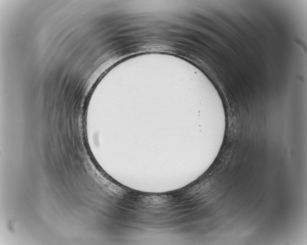 X0000103480947200810100956
