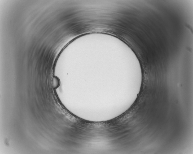 X0000103480948200810100956