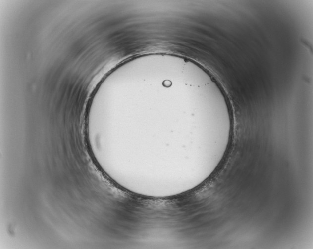 X0000103480949200810100956