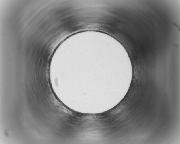 X0000103480950200810100956