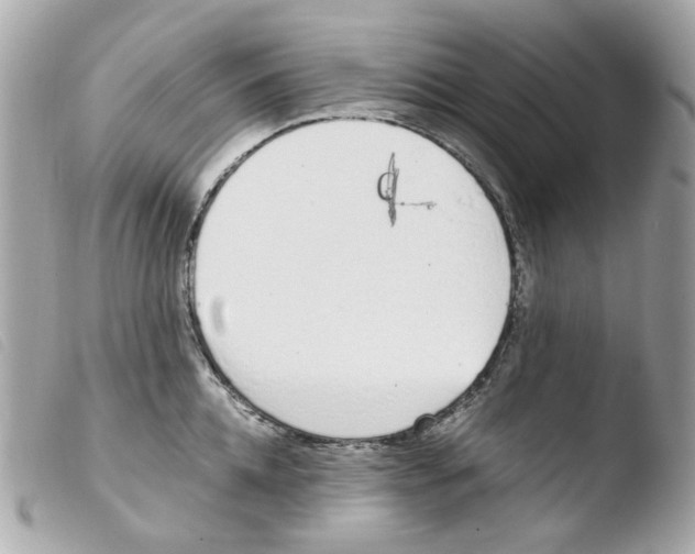 X0000103480952200810100956