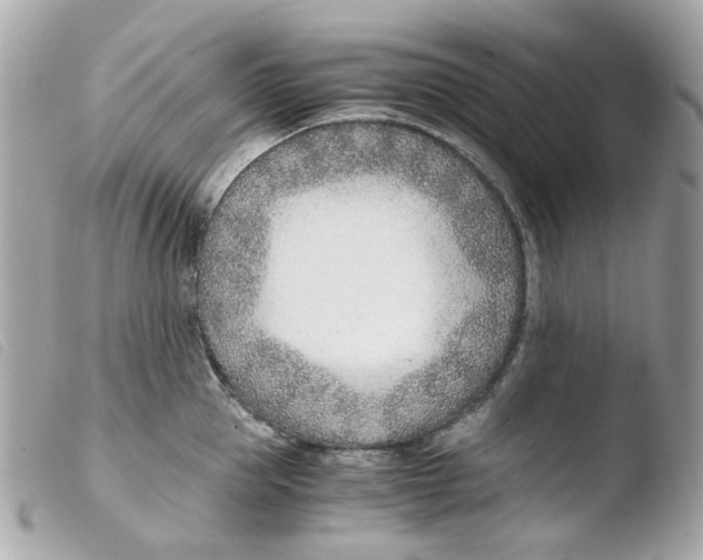 X0000103480953200810100956