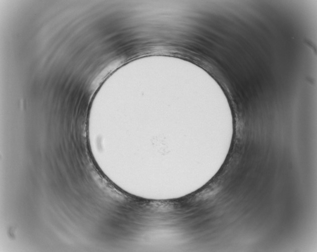 X0000103480954200810100956