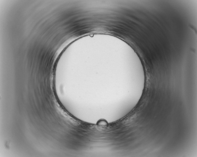 X0000103480955200810100956