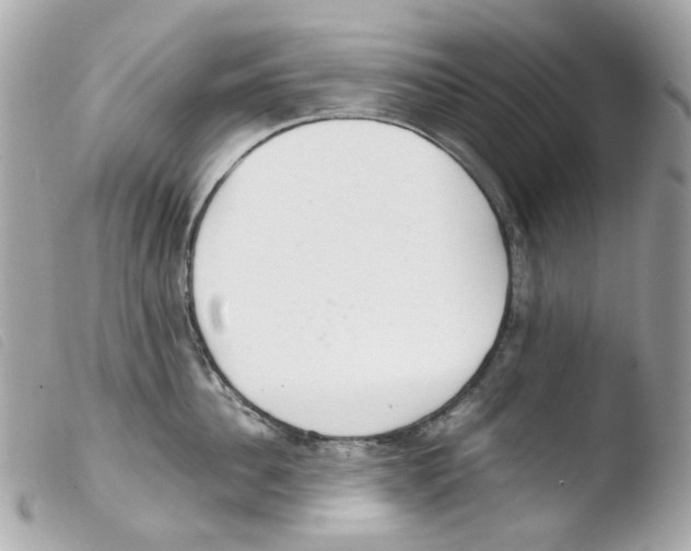 X0000103480956200810100956