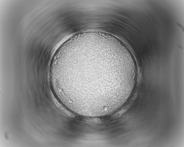 X0000103480957200810100956