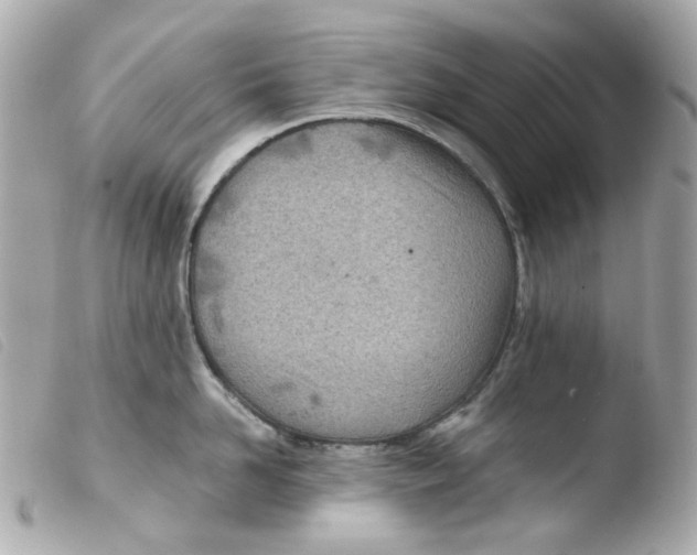 X0000103480958200810100956