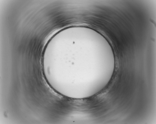 X0000103480959200810100956