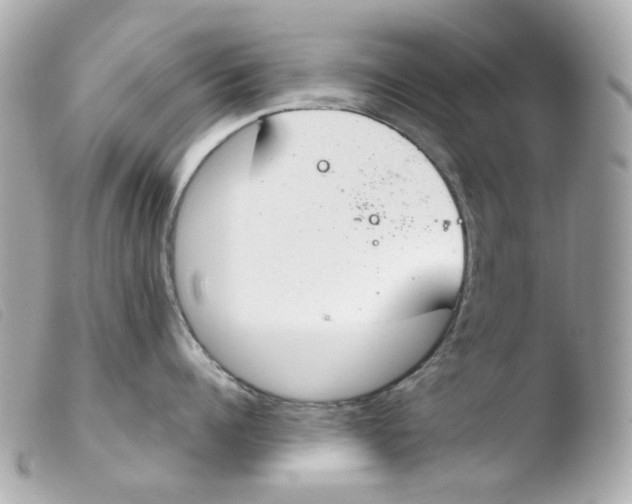 X0000103480960200810100956