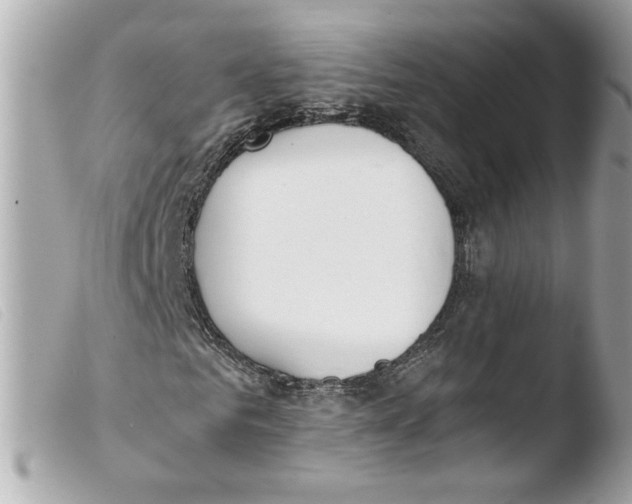 X0000103480961200810100955