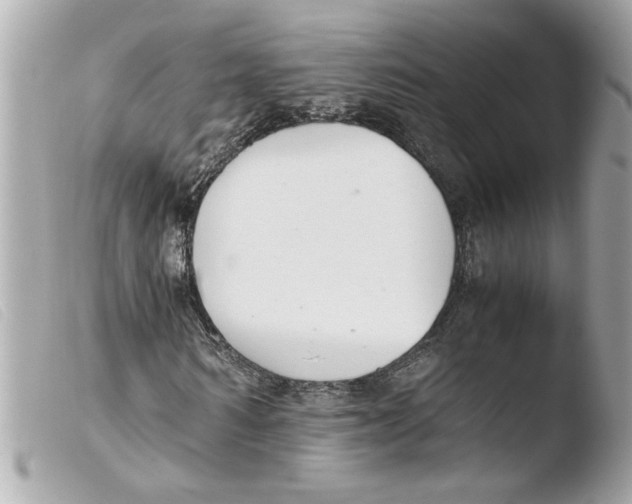 X0000103480962200810100955