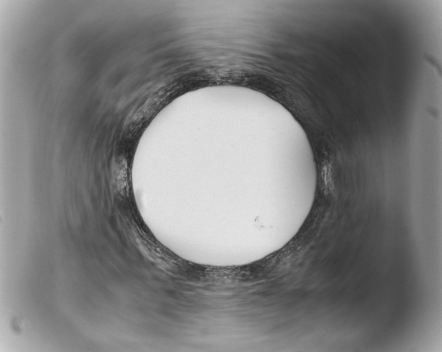 X0000103480963200810100955