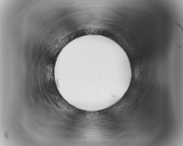 X0000103480964200810100955