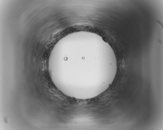 X0000103480965200810100955