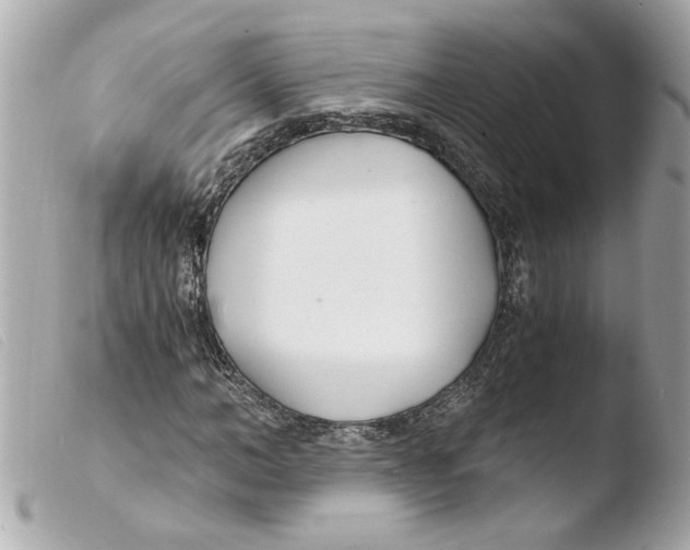 X0000103480966200810100955