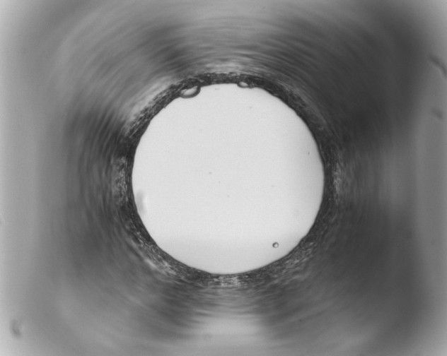 X0000103480968200810100955