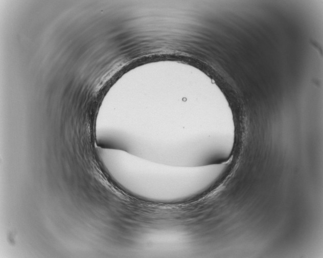X0000103480969200810100955