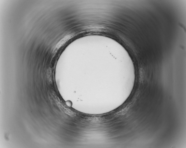 X0000103480970200810100955