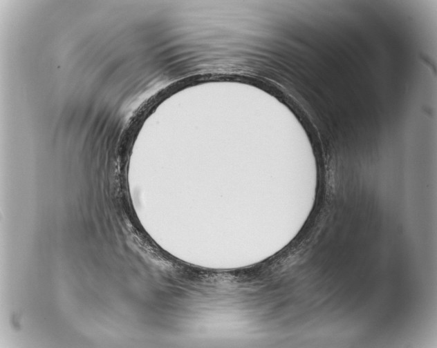 X0000103480971200810100955